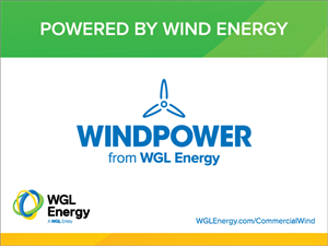 Large Window Cling - Wind
