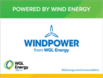 Large Window Cling - Wind